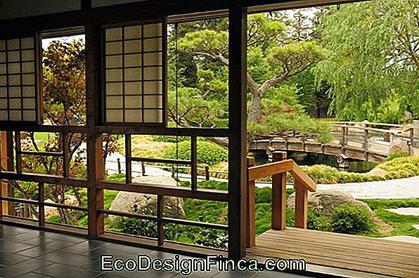 Japanische Hangetitten Zierlicher Onanieren