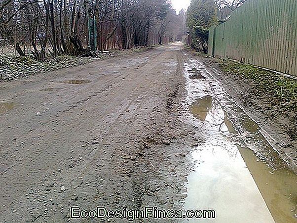 Sodininkų Atskyrikliai Ir Demarquers - I Dalis