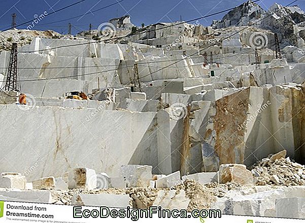 Carrara Marmors: Skaisti Attēli, Cena Un Padomi!