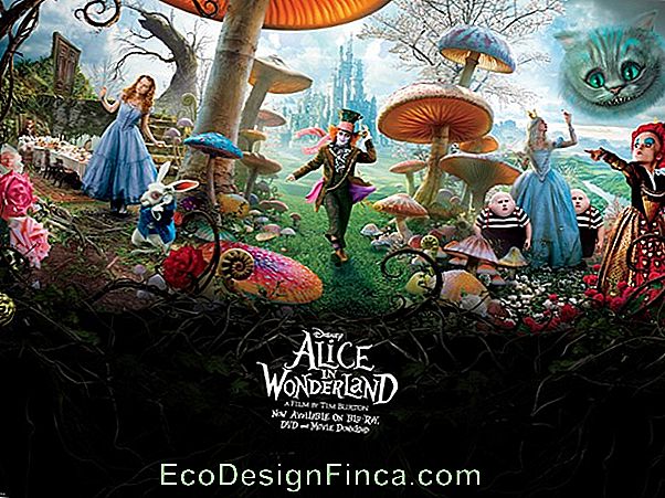 Alise In Wonderland Puse: Padomi Organizēšanai Un Dekorēšanai Ar Fotogrāfijām