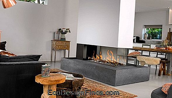50 Fireplace-Modellen: Types, Voordelen / Nadelen