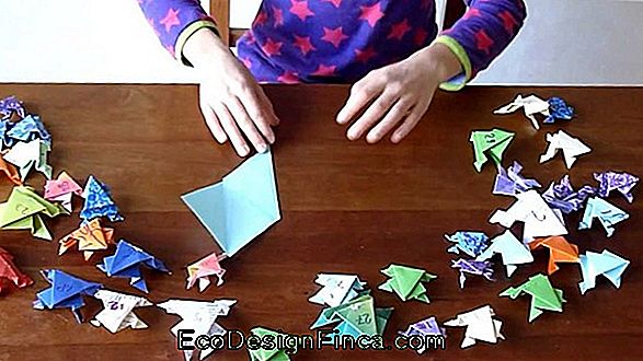 Hoe Origami Te Maken - 86 Mooie En Creatieve Ideeën & Eenvoudige Zelfstudies!