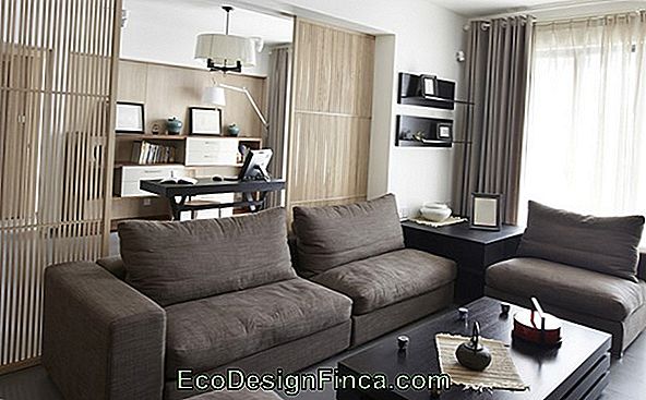 Living Room With Sofa Brown: Ideeën, Beste Combinaties En 30 Foto'S!