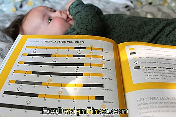 Gele Babykamer: Tips En 30 Prachtige Modellen!