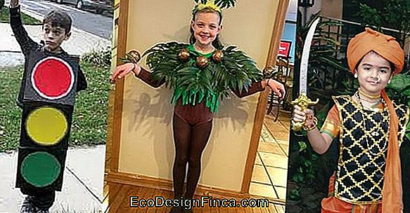 Fancy Carnival Costume For Girl: Ladybug...