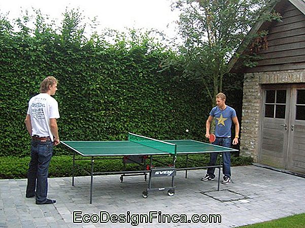 Basisregels Voor Het Spelen Van Ping Pong