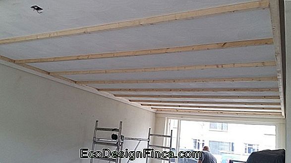 Plafond Plafond In Gips!