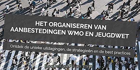 Hoe Organiseert U Rekeningen, Documenten, Enz.!