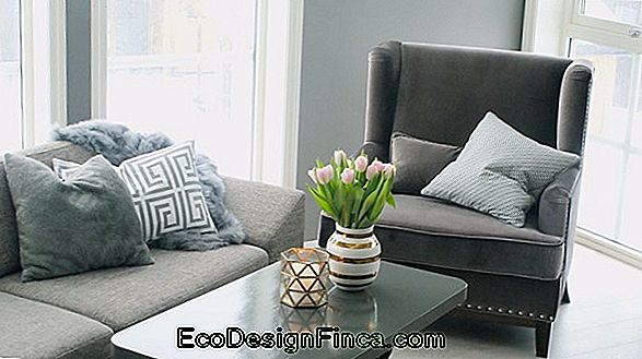 64 Sofa Puter - Hvordan Velge Og Dekorere!