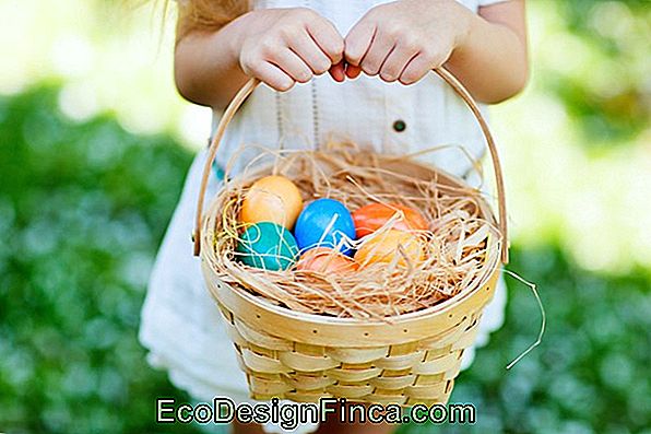Gry Wielkanocne Na Hunt Eggs