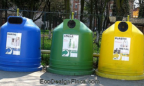 Reciclarea Materialelor - Deșeuri Anorganice. Deșeuri Toxice!