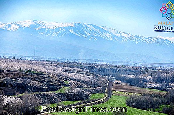 Fotoğraflarla Dekorasyon: Çevreye Eklemek Için 65 Fikir