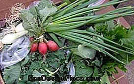 Calendrier du jardin. Comment et quand planter le vĂ´tre! - quand Calendrier du jardin. Comment et quand planter le vĂ´tre!