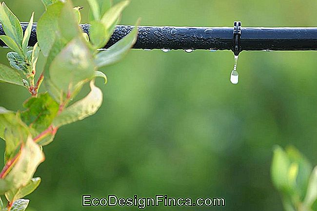 Tips Til Home Garden Irrigation