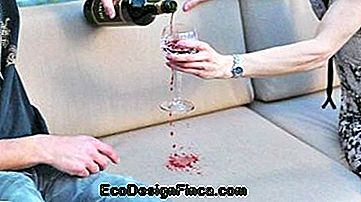 vyno pora sofos