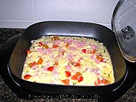 cuisinière électrique omelette ou pizza