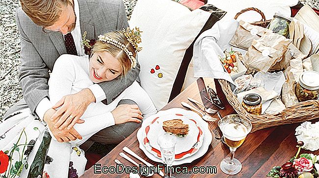 Wie Man Eine Picknickhochzeit Macht