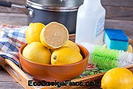Verwendung von Zitrusfrüchten bei der Hausreinigung