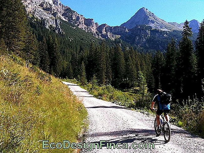 Conserver Votre Vélo - Entretien!